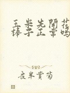 玉米先开花后出棒子正常吗