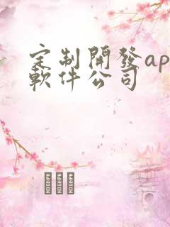 定制开发app软件公司