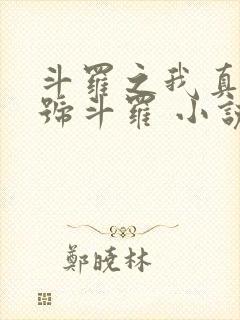 斗罗之我真是封号斗罗 小说