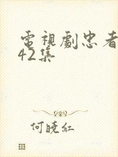 电视剧忠者无敌42集