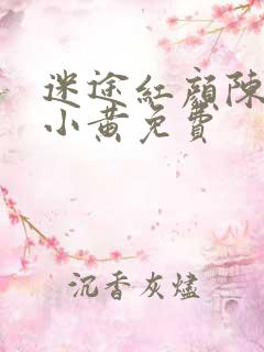 迷途红颜陈梦洁小黄免费