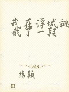 我在浮城谜事里截了一段