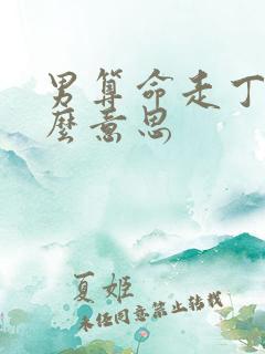男算命走丁运什么意思