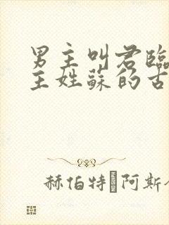 男主叫君临渊女主姓苏的古言小说