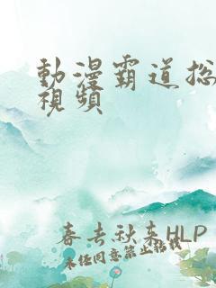 动漫霸道总裁的视频