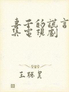 妻子的谎言共几集电视剧