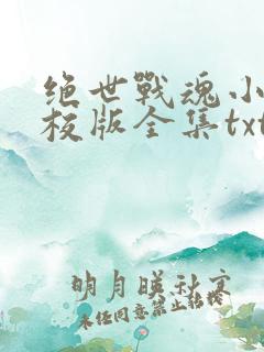 绝世战魂小说精校版全集txt