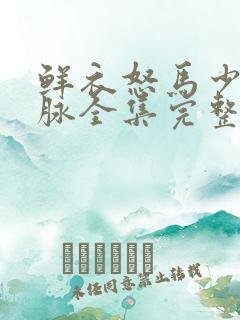鲜衣怒马少年郎脉全集完整版免费
