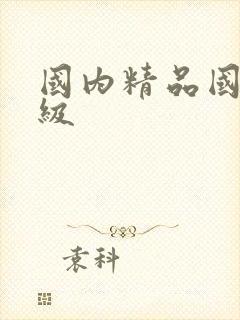 国内精品国产三级