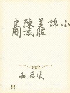 良陈美锦小说未删减版