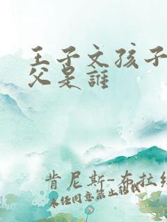 王子文孩子的生父是谁 王子文孩子的生父是谁