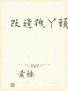 改造拽丫头