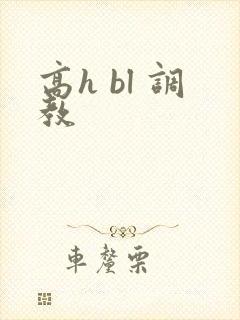 高h bl 调教
