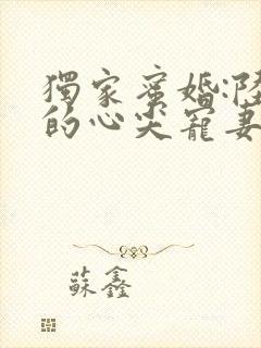 独家蜜婚:陆少的心尖宠妻小说