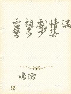 电视剧情满九道弯多少集