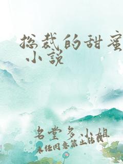 总裁的甜蜜宠妻 小说