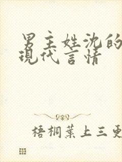 男主姓沈的小说现代言情