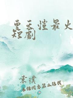 曹天恺最火十部短剧