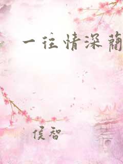 一往情深蔺先生