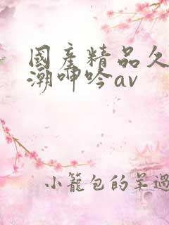 国产精品久久高潮呻吟av