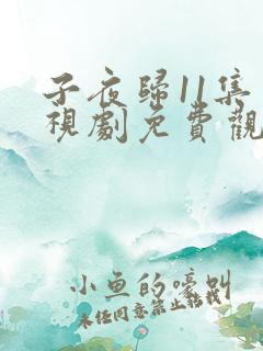子夜归11集电视剧免费观看
