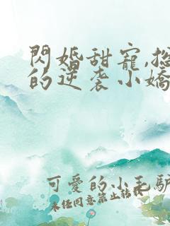 闪婚甜宠,总裁的逆袭小娇妻