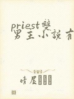 priest双男主小说有哪些