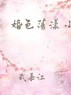 婚色荡漾 小说