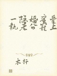一隐婚蜜爱:偏执老公宠上瘾