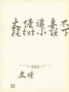 大佬追妻不择手段txt小说下载