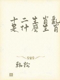 十二生肖乱指的是什么生肖