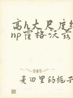 高h大尺度纯肉np霍格沃兹