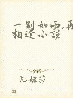 一别如雨,再无相逢小说