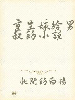重生嫁给男主他叔的小说