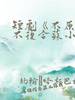 短剧《不原谅,不复合苏小姐独美》