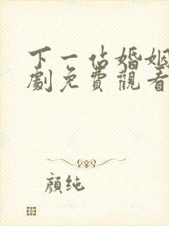 下一站婚姻电视剧免费观看全集完整版