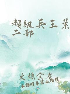 超级兵王叶谦第二部
