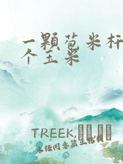 一颗苞米杆长几个玉米