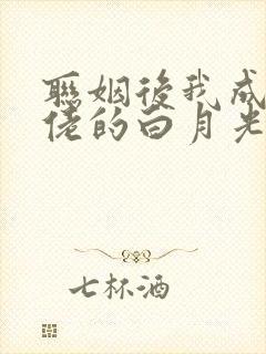 联姻后我成了大佬的白月光