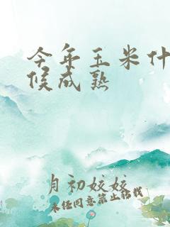 今年玉米什么时候成熟