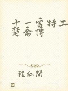 十一处特工皇妃楚乔传
