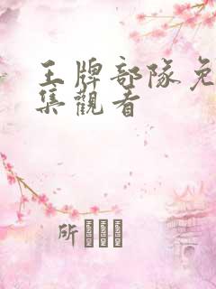 王牌部队免费全集观看