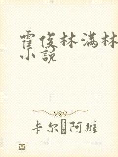 霍俊林满林舒乔小说