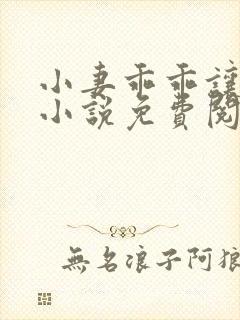 小妻乖乖让我宠小说免费阅读