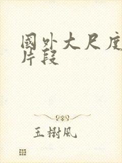 国外大尺度床戏片段