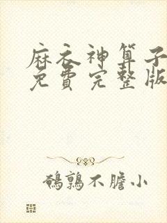麻衣神算子小说免费完整版txt