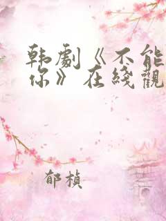韩剧《不能没有你》在线观看