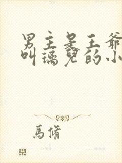 男主是王爷女主叫璃儿的小说