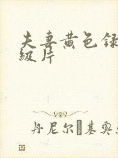 夫妻黄色录像一级片
