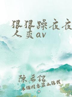 狠狠躁夜夜躁人人爽av